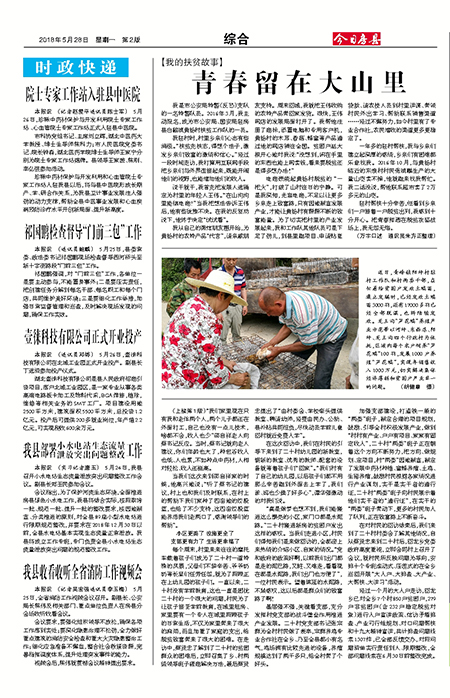 ���շ����ۺ�