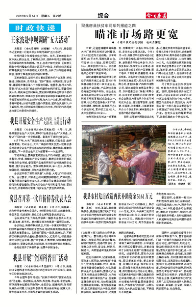 ���շ����ۺ�