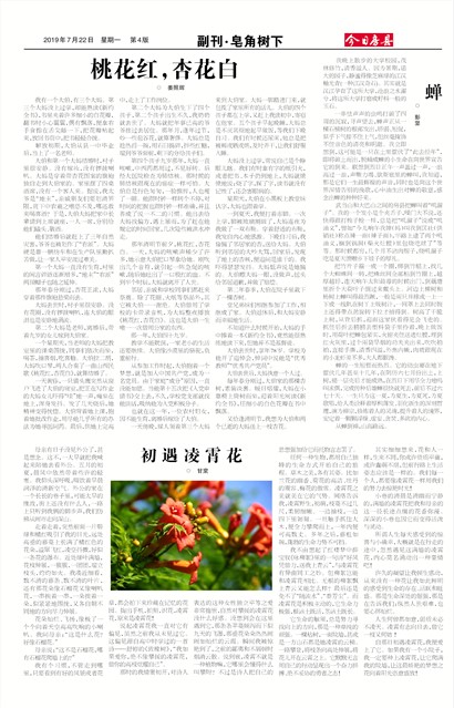 今日房县专刊