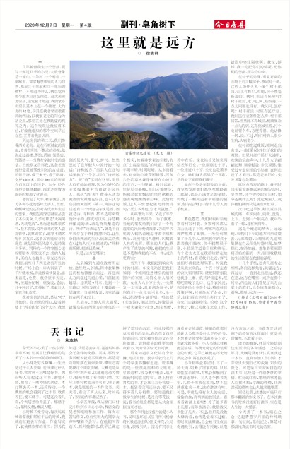 今日房县副刊·皂角树下