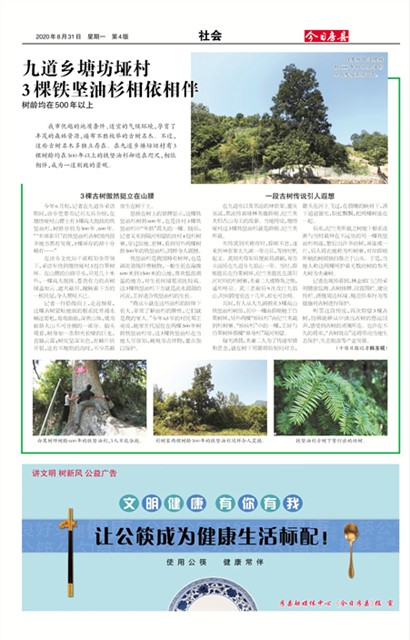 ���շ������