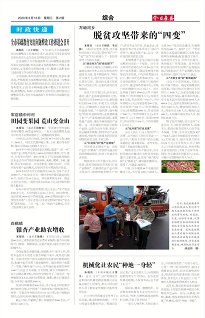 ���շ����ۺ�