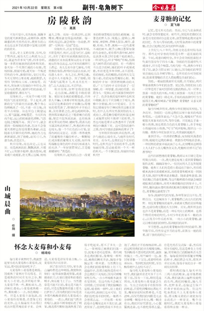 ���շ��ظ���&middot;��������