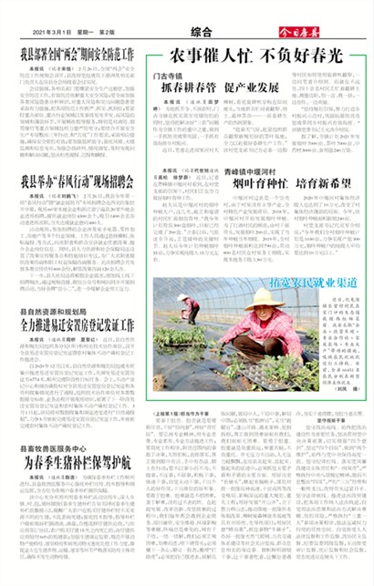 ���շ����ۺ�