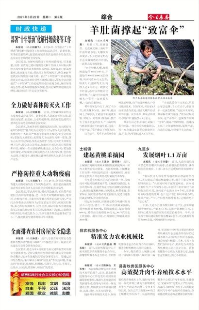 ���շ����ۺ�