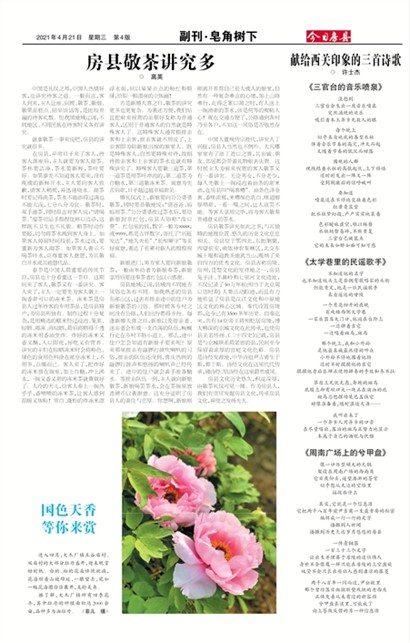 今日房县副刊·皂角树下