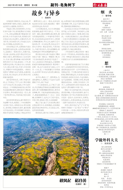 今日房县副刊·皂角树下