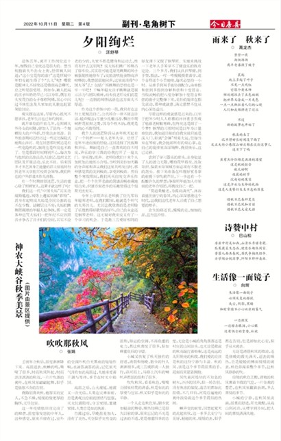 今日房县副刊·皂角树下