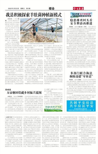 ���շ����ۺ�