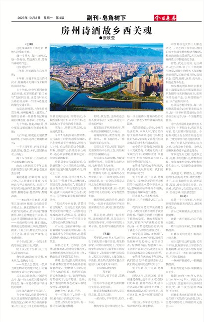 ���շ��ظ���▪��������