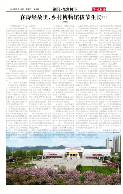 今日房县副刊·皂角树下