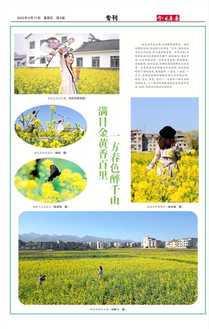 ���շ���ר��