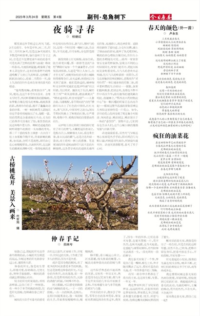 ���շ��ظ���&middot;��������