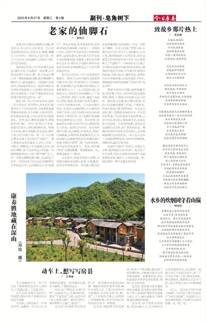 今日房县副刊▪皂角树下
