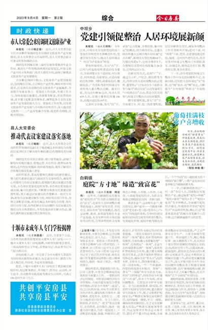 ���շ����ۺ�