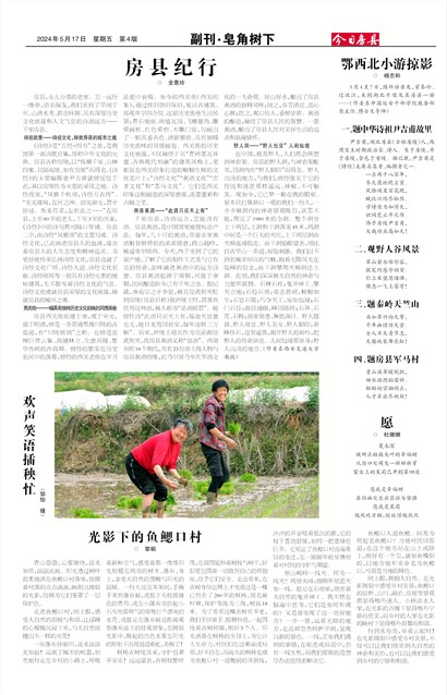 ���շ��ظ���▪��������