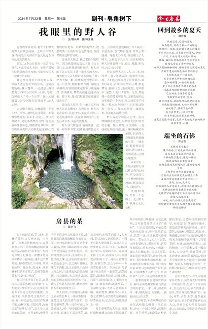 今日房县副刊·皂角树下