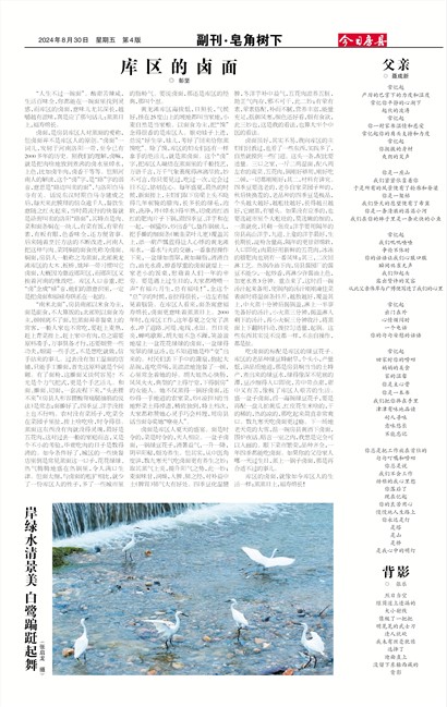 今日房县副刊·皂角树下