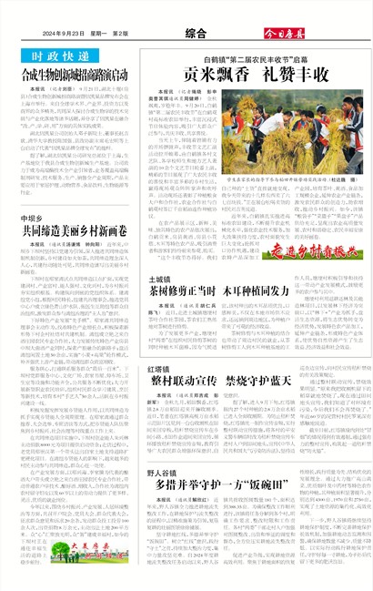 ���շ����ۺ�