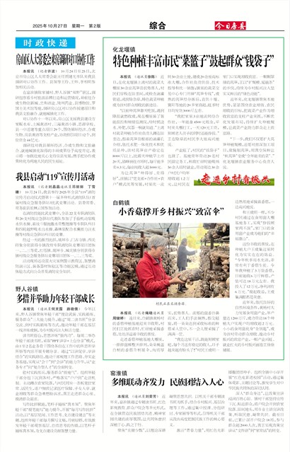 ���շ����ۺ�