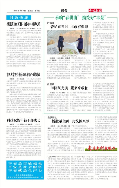 ���շ����ۺ�