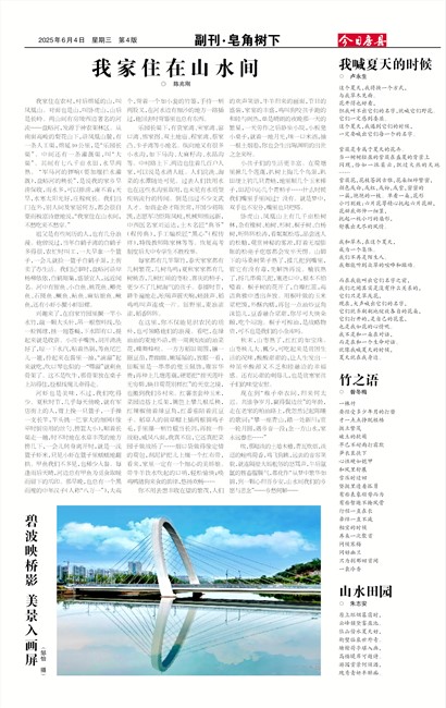 今日房县副刊·皂角树下