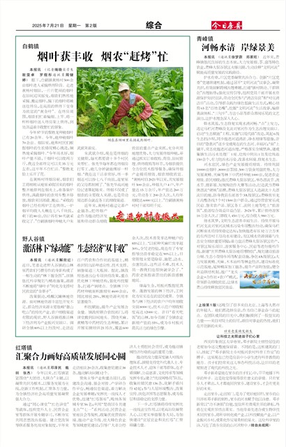 ���շ����ۺ�